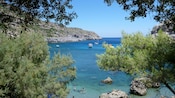 Boats anchored in a bay framed by trees along the Rhodes coast