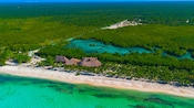 KUZÁ Beach & Adventure Park in Cozumel, Mexico, featuring a lush beach setting with lounge chairs and bungalows