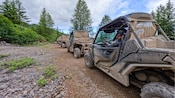 Guests traveling down a woodland trail in a column of UTVs