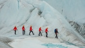 Un grupo de Visitantes caminando por un glaciar detrás de un guía turístico