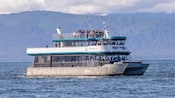 A group of people taking pictures from a catamaran floating on the water with the Alaskan coastline in the distance