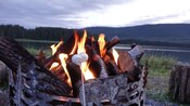 Two marshmallows on a roasting stick near a fire pit