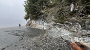 Um hóspede caminhando em uma praia com pedras e conchas abaixo de penhascos arborizados