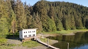 A bayside cabin with a pier at the edge of a forest