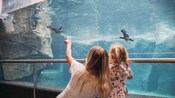 A mother and daughter observing penguins swimming underwater at the International Antarctic Centre in Christchurch, New Zealand