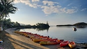 Una hilera de kayaks alineados a lo largo de la costa.