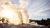 The Pōhutu Geyser erupting at the Te Puia Geothermal Reserve