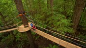 A couple and a child walking on a suspended walkway amidst towering redwood trees