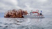 Un bote turístico atracado al lado de una saliente rocosa