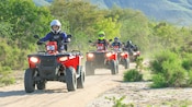 4 riders on single seat all terrain vehicles driving on a dirt trail next to desert brush