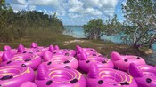 A series of circular inflatable rafts on the leafy shore of a lagoon