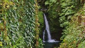 Una cascada en un entorno tropical