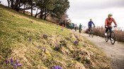 A tour group riding E bikes along a waterfront path