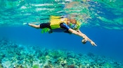 A person snorkeling over a reef