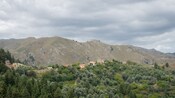 A town lines the side of a mountain at the edge of a dense forest
