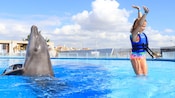 A girl spinning in a pool with a dolphin