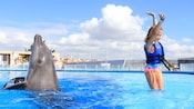 A girl raises her arms up in the air while standing in a pool next to a dolphin