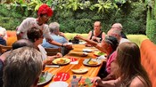 A tour group dining inside a restaurant with plants growing on the brick walls