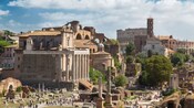 Ruins at the Roman Forum