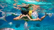 Uma pessoa fazendo formato de coração com as mãos enquanto mergulha com snorkel em Cozumel, México