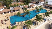 Groups of people enjoying a swimming pool area surrounded by palm trees