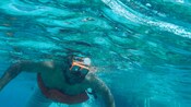 A man snorkeling in the sea