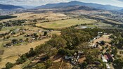 The lush grounds of Bonorong Wildlife Sanctuary in Australia