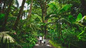 2 Guests along a trail in the Hawaii Tropical Bioreserve and Garden