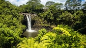 Rainbow Falls in Hawaii