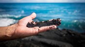 A hand holding sand on a black sand beach in Hawaii
