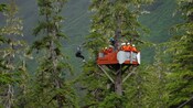 A woman arriving on a zip line at a treetop platform