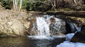 A small waterfall with a fallen tree crossing the river