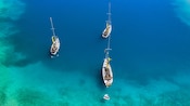 3 sailboats floating in calm waters