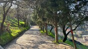 Un camino adoquinado rodeado de árboles