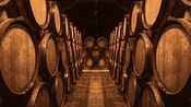 Barrels lined up in an aging cellar