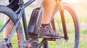 A Guest pedals a bike