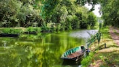 A verdant waterway with a small wooden rowboat