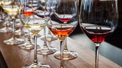 A cluster of partially filled wine glasses