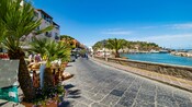 A narrow cobblestone street running alongside a harbor and small beach