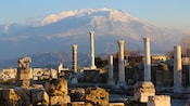 A view of Pompeii