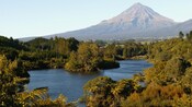 A view of Lake Mangamahoe surrounded by a lush forest and Mount Taranaki