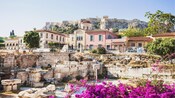 A townscape with trees, flowers and ruins