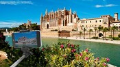 A camera on a selfie stick in front of the Catedral Basílica de Santa María de Mallorca in Spain