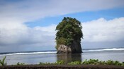An islet with lush vegetation next to a shoreline