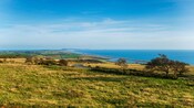An open pasture next to the ocean