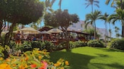 Delicie-se com um dia de diversão em família no Marival Emotions Resort à beira-mar, onde você pode aproveitar o sol em uma praia de areia ou em uma das 3 piscinas.