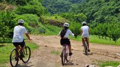 3 people ride bikes down a dirt path