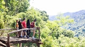 A group of hikers overlooking a lush landscape from a wooden platform