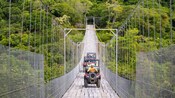 Guests driving off road vehicles across a bridge in a forest