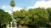 A gazebo in a leafy park